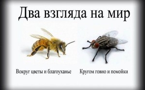 Картинка с сайта http://www.foru.ru/